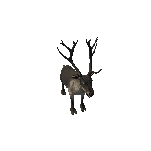 Reindeer_RM_SV (1)
